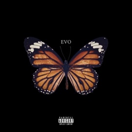 Evo Psychedelic Sidekick