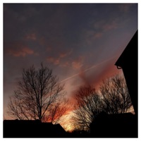 Lilycove City - Single - Jawnhto