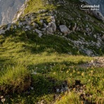 Grounded - Single