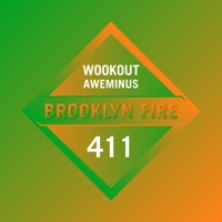 Wookout - Single - Aweminus