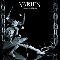 Monarch Butterfly - Single - Varien