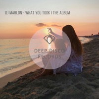 What You Took I the Album - DJ Marlon