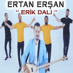 Erik Dalı