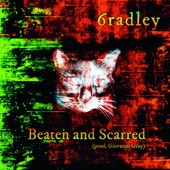 6radley - Beaten and Scarred