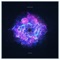 The Timewriter - S.Bluyer, Deepshader & Nazca lyrics