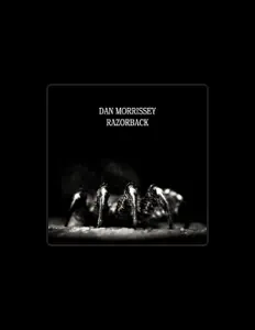 Dan Morrisseyを聴いたり、ミュージックビデオを鑑賞したり、経歴やツアー日程などを確認したりしましょう！