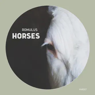 Horses - Single by Romulus album reviews, ratings, credits