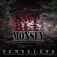 Senseless (feat. Monsey) - Single - Slightly More Than One but Less Than Two