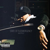 State of Fleemergency - EP artwork