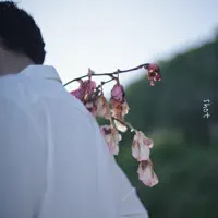 Shot — Mikha Angelo