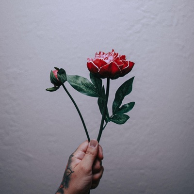 Peony - Single