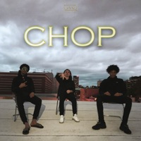 Chop (feat. Paco & Neo) - Single - Tows
