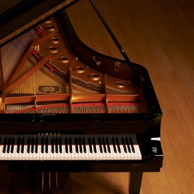 HowYou Doing (Special) (feat. Holacaust) - Single