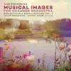 Stream & download Musical Images: Reflections & Recollections, Vol. 2