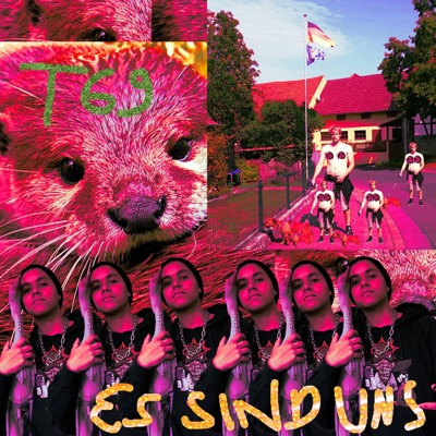 Es sind uns - Single