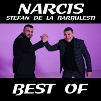 Best of (feat. Stefan De La Barbulesti) - Narcis