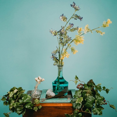 Facing (feat. Alaina May) - Single