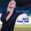 One Night (feat. Gia) [The Scene Kings Remix] - Single