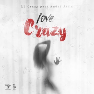 Love Crazy (feat. André Atila)
