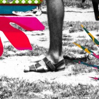 Cais (feat. Criolo) - Single - Samuca e a Selva