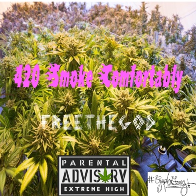 420 Smoke Comfortably - EP