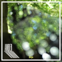 Aborigen - Single - Amber Window