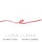 Luna Llena (feat. Blanca Suárez) artwork