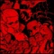 Cinnamon - Baraka lyrics