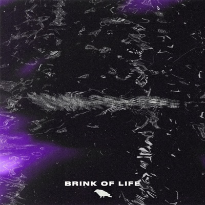 Brink of Life - Single