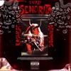 Senorita (feat. Denimadic & Ka$h) - Single