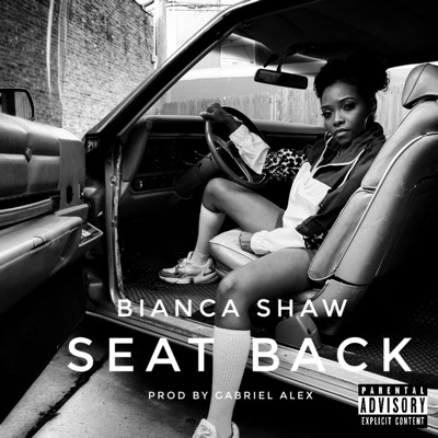 Seat Back - Single