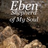 Shepherd of My Soul - Single