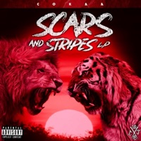 Scars and Stripes - Cokaa