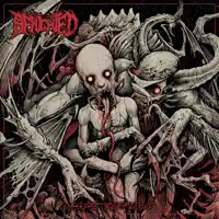 Implore the Negative — Benighted