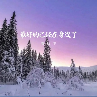魏辰宇 - 在我这 你永远最特别