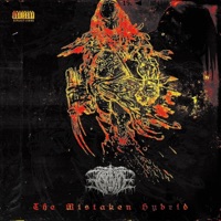 The Mistaken Hybrid - Single - T0rtvre