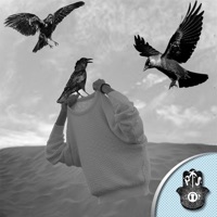 Birds - EP - Ary Sya