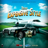 Expensive Style artwork