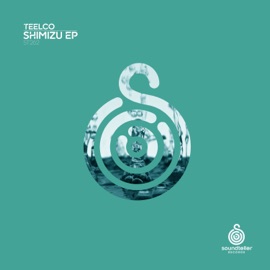 Shimizu TEELCO