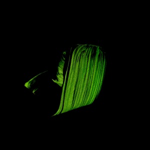 5 Years from Now - EP