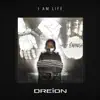 DREION - Light It Up