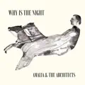 why is the night