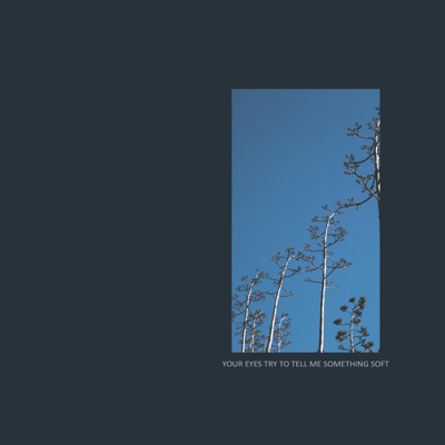 Your Eyes Try to Tell Me Something Soft - Single