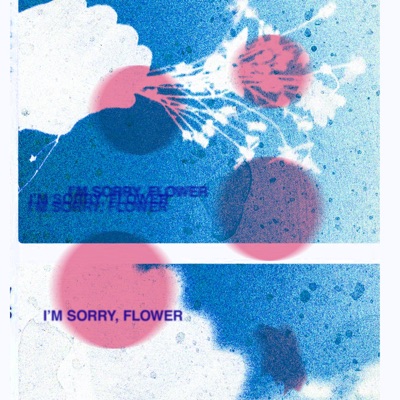 I'm Sorry, Flower - EP