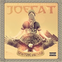 Epistemic Virtues - EP - JoeCat