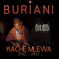 Buriani Kache Mlewa (feat. Chilibasi) - Single - Fash P