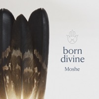 Born Divine (feat. Ninawa Pai De Mata) - Single - Moshe Halperin