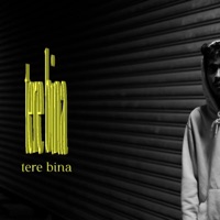 Tere Bina - Single - Gabroo