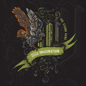 Wild Imagination - Single