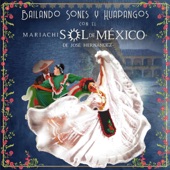 Bailando Sones y Huapangos Con el Mariachi Sol de México de José Hernández artwork